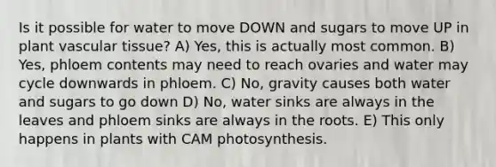 Is it possible for water to move DOWN and sugars to move UP in plant vascular tissue? A) Yes, this is actually most common. B) Yes, phloem contents may need to reach ovaries and water may cycle downwards in phloem. C) No, gravity causes both water and sugars to go down D) No, water sinks are always in the leaves and phloem sinks are always in the roots. E) This only happens in plants with CAM photosynthesis.