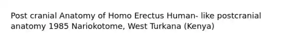 Post cranial Anatomy of Homo Erectus Human- like postcranial anatomy 1985 Nariokotome, West Turkana (Kenya)