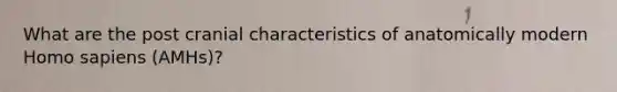 What are the post cranial characteristics of anatomically modern Homo sapiens (AMHs)?