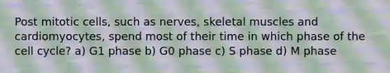 Post mitotic cells, such as nerves, skeletal muscles and cardiomyocytes, spend most of their time in which phase of the cell cycle? a) G1 phase b) G0 phase c) S phase d) M phase