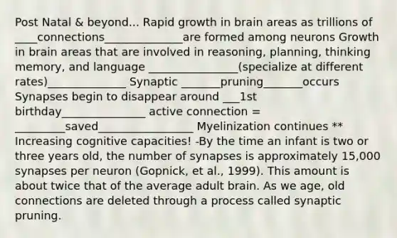 Post Natal & beyond... Rapid growth in brain areas as trillions of ____connections______________are formed among neurons Growth in brain areas that are involved in reasoning, planning, thinking memory, and language ________________(specialize at different rates)______________ Synaptic _______pruning_______occurs Synapses begin to disappear around ___1st birthday_______________ active connection = _________saved_________________ Myelinization continues ** Increasing cognitive capacities! -By the time an infant is two or three years old, the number of synapses is approximately 15,000 synapses per neuron (Gopnick, et al., 1999). This amount is about twice that of the average adult brain. As we age, old connections are deleted through a process called synaptic pruning.