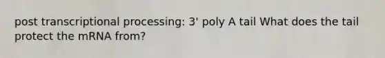 post transcriptional processing: 3' poly A tail What does the tail protect the mRNA from?