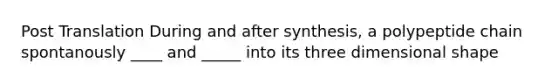 Post Translation During and after synthesis, a polypeptide chain spontanously ____ and _____ into its three dimensional shape