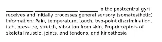 ____________ ___________________ ________ in the postcentral gyri receives and initially processes general sensory (somatesthetic) information: Pain, temperature, touch, two-point discrimination, itch, pressure, stretch, vibration from skin, Proprioceptors of skeletal muscle, joints, and tendons, and kinesthesia