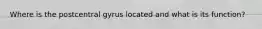 Where is the postcentral gyrus located and what is its function?