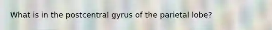 What is in the postcentral gyrus of the parietal lobe?