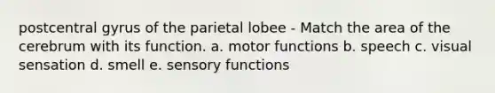 postcentral gyrus of the parietal lobee - Match the area of the cerebrum with its function. a. motor functions b. speech c. visual sensation d. smell e. sensory functions