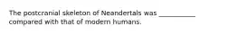 The postcranial skeleton of Neandertals was ___________ compared with that of modern humans.