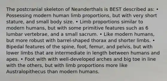 The postcranial skeleton of Neanderthals is BEST described as: • Possessing modern human limb proportions, but with very short stature, and small body size. • Limb proportions similar to modern humans, but with some primitive features such as 6 lumbar vertebrae, and a small sacrum. • Like modern humans, but more robust with barrel-shaped thorax and shorter limbs. • Bipedal features of the spine, foot, femur, and pelvis, but with <a href='https://www.questionai.com/knowledge/kF4ILRdZqC-lower-limb' class='anchor-knowledge'>lower limb</a>s that are intermediate in length between humans and apes. • Foot with with well-developed arches and big toe in line with the others, but with limb proportions more like Australopithecus than modern humans.