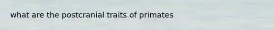 what are the postcranial traits of primates