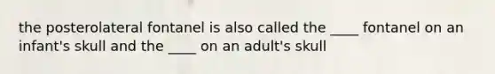 the posterolateral fontanel is also called the ____ fontanel on an infant's skull and the ____ on an adult's skull