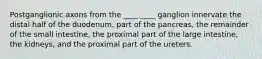 Postganglionic axons from the ____ ____ ganglion innervate the distal half of the duodenum, part of the pancreas, the remainder of the small intestine, the proximal part of the large intestine, the kidneys, and the proximal part of the ureters.
