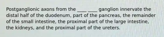 Postganglionic axons from the ____ ____ ganglion innervate the distal half of the duodenum, part of the pancreas, the remainder of the small intestine, the proximal part of the large intestine, the kidneys, and the proximal part of the ureters.