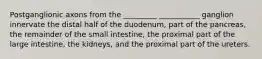 Postganglionic axons from the _________ ___________ ganglion innervate the distal half of the duodenum, part of the pancreas, the remainder of the small intestine, the proximal part of the large intestine, the kidneys, and the proximal part of the ureters.