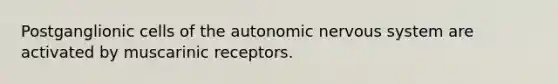 Postganglionic cells of the autonomic nervous system are activated by muscarinic receptors.