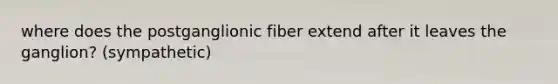 where does the postganglionic fiber extend after it leaves the ganglion? (sympathetic)