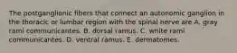 The postganglionic fibers that connect an autonomic ganglion in the thoracic or lumbar region with the spinal nerve are A. gray rami communicantes. B. dorsal ramus. C. white rami communicantes. D. ventral ramus. E. dermatomes.