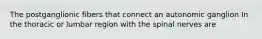 The postganglionic fibers that connect an autonomic ganglion In the thoracic or lumbar region with the spinal nerves are