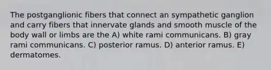 The postganglionic fibers that connect an sympathetic ganglion and carry fibers that innervate glands and smooth muscle of the body wall or limbs are the A) white rami communicans. B) gray rami communicans. C) posterior ramus. D) anterior ramus. E) dermatomes.