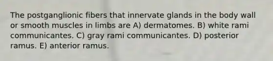 The postganglionic fibers that innervate glands in the body wall or smooth muscles in limbs are A) dermatomes. B) white rami communicantes. C) gray rami communicantes. D) posterior ramus. E) anterior ramus.