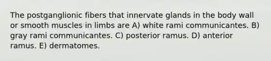 The postganglionic fibers that innervate glands in the body wall or smooth muscles in limbs are A) white rami communicantes. B) gray rami communicantes. C) posterior ramus. D) anterior ramus. E) dermatomes.