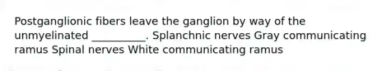 Postganglionic fibers leave the ganglion by way of the unmyelinated __________. Splanchnic nerves Gray communicating ramus Spinal nerves White communicating ramus