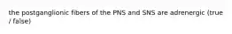 the postganglionic fibers of the PNS and SNS are adrenergic (true / false)