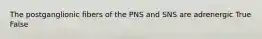 The postganglionic fibers of the PNS and SNS are adrenergic True False