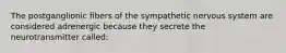 The postganglionic fibers of the sympathetic nervous system are considered adrenergic because they secrete the neurotransmitter called: