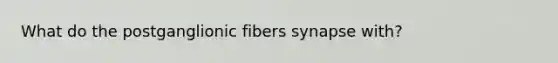 What do the postganglionic fibers synapse with?