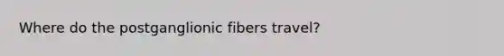 Where do the postganglionic fibers travel?