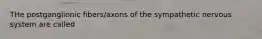 THe postganglionic fibers/axons of the sympathetic nervous system are called