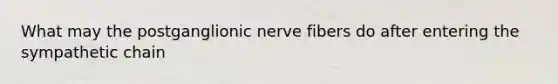 What may the postganglionic nerve fibers do after entering the sympathetic chain