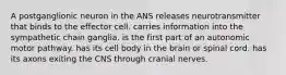 A postganglionic neuron in the ANS releases neurotransmitter that binds to the effector cell. carries information into the sympathetic chain ganglia. is the first part of an autonomic motor pathway. has its cell body in the brain or spinal cord. has its axons exiting the CNS through cranial nerves.