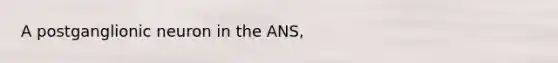 A postganglionic neuron in the ANS,