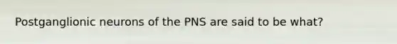 Postganglionic neurons of the PNS are said to be what?