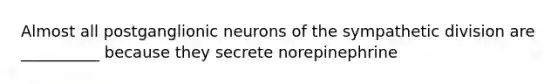 Almost all postganglionic neurons of the sympathetic division are __________ because they secrete norepinephrine