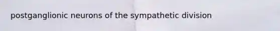 postganglionic neurons of the sympathetic division