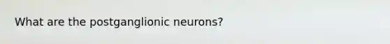 What are the postganglionic neurons?