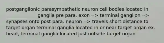 postganglionic parasympathetic neuron cell bodies located in _____________ ganglia pre para. axon --> terminal ganglion --> synapses onto post para. neuron --> travels short distance to target organ terminal ganglia located in or near target organ ex. head, terminal ganglia located just outside target organ