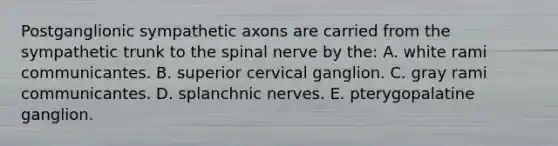 Postganglionic sympathetic axons are carried from the sympathetic trunk to the spinal nerve by the: A. white rami communicantes. B. superior cervical ganglion. C. gray rami communicantes. D. splanchnic nerves. E. pterygopalatine ganglion.