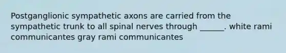 Postganglionic sympathetic axons are carried from the sympathetic trunk to all spinal nerves through ______. white rami communicantes gray rami communicantes