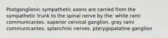 Postganglionic sympathetic axons are carried from the sympathetic trunk to the spinal nerve by the: white rami communicantes. superior cervical ganglion. gray rami communicantes. splanchnic nerves. pterygopalatine ganglion