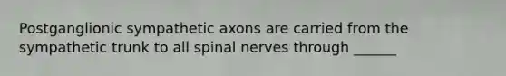 Postganglionic sympathetic axons are carried from the sympathetic trunk to all spinal nerves through ______