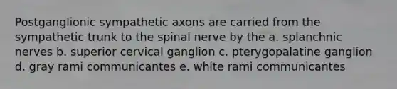 Postganglionic sympathetic axons are carried from the sympathetic trunk to the spinal nerve by the a. splanchnic nerves b. superior cervical ganglion c. pterygopalatine ganglion d. gray rami communicantes e. white rami communicantes