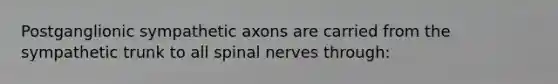 Postganglionic sympathetic axons are carried from the sympathetic trunk to all <a href='https://www.questionai.com/knowledge/kyBL1dWgAx-spinal-nerves' class='anchor-knowledge'>spinal nerves</a> through: