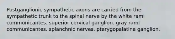 Postganglionic sympathetic axons are carried from the sympathetic trunk to the spinal nerve by the white rami communicantes. superior cervical ganglion. gray rami communicantes. splanchnic nerves. pterygopalatine ganglion.