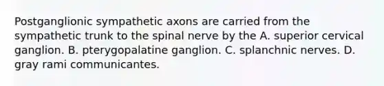 Postganglionic sympathetic axons are carried from the sympathetic trunk to the spinal nerve by the A. superior cervical ganglion. B. pterygopalatine ganglion. C. splanchnic nerves. D. gray rami communicantes.