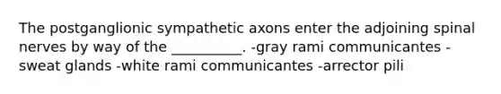 The postganglionic sympathetic axons enter the adjoining spinal nerves by way of the __________. -gray rami communicantes -sweat glands -white rami communicantes -arrector pili