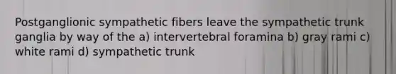 Postganglionic sympathetic fibers leave the sympathetic trunk ganglia by way of the a) intervertebral foramina b) gray rami c) white rami d) sympathetic trunk